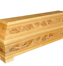 F109 Pappel Rüdesheim.png